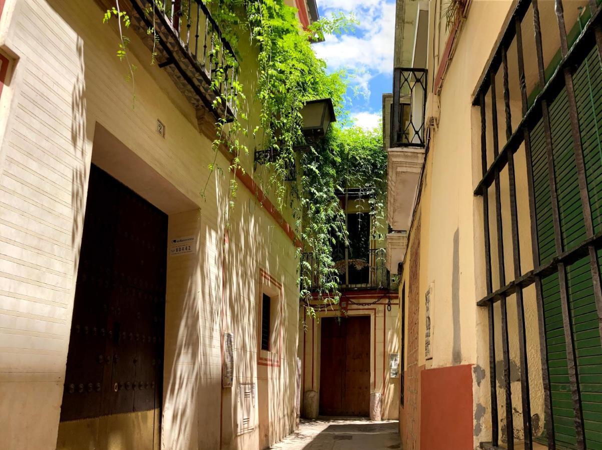 Acogedor Apt 8Pax 4Bdr 2Bth- Cozyhomesevilla2 מראה חיצוני תמונה