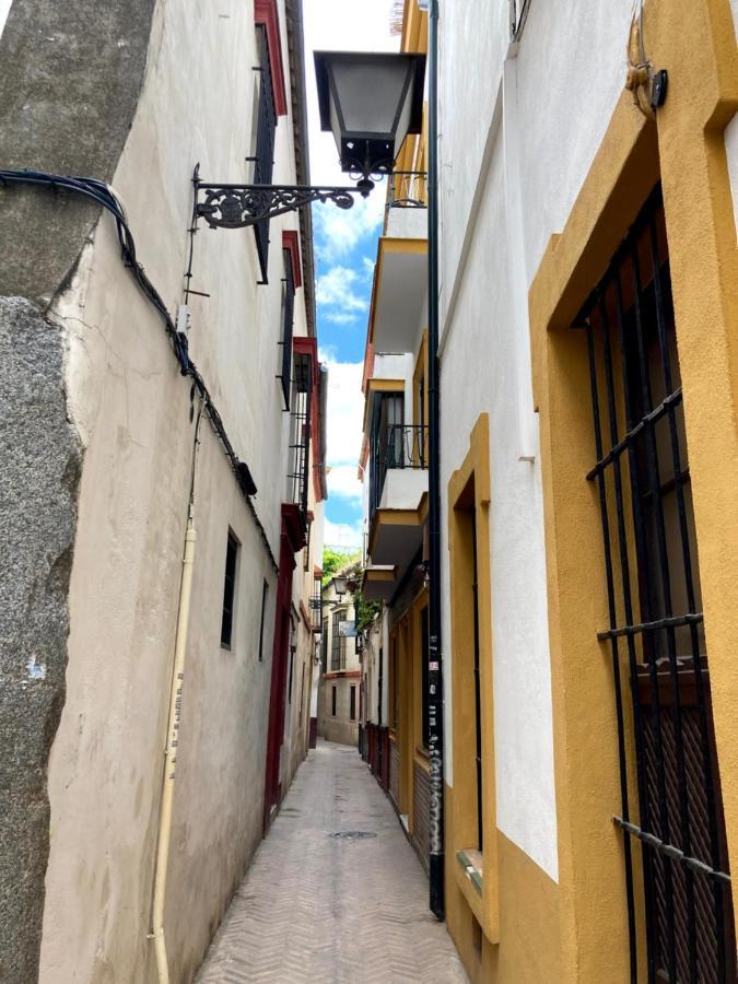 Acogedor Apt 8Pax 4Bdr 2Bth- Cozyhomesevilla2 מראה חיצוני תמונה